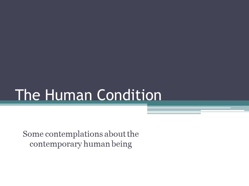The Human Condition     Some contemplations about the contemporary human being